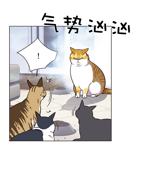 觉醒吧铲屎官335漫画,第9话2图