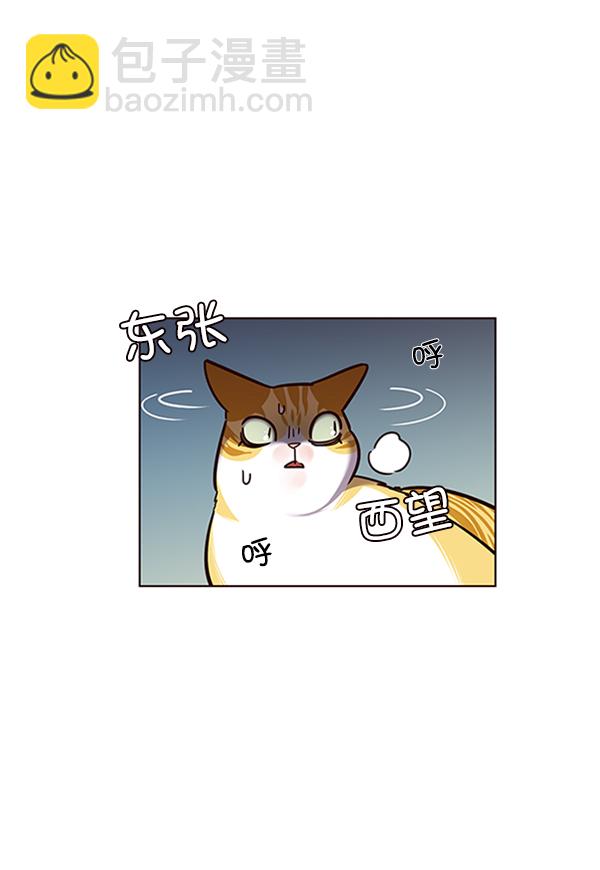 觉醒吧铲屎官漫画免费观看180话漫画,第56话1图