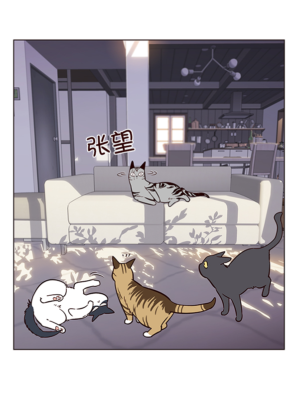 觉醒吧铲屎官335漫画,第7话1图