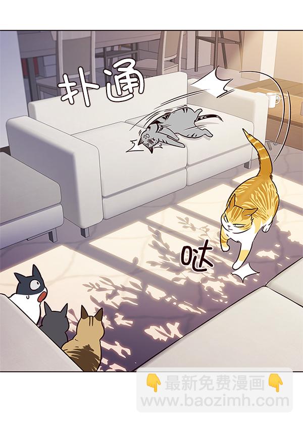 觉醒吧铲屎官漫画免费观看180话漫画,第7话1图