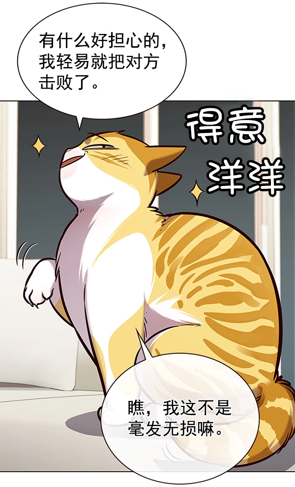 觉醒吧铲屎官335漫画,第186话1图