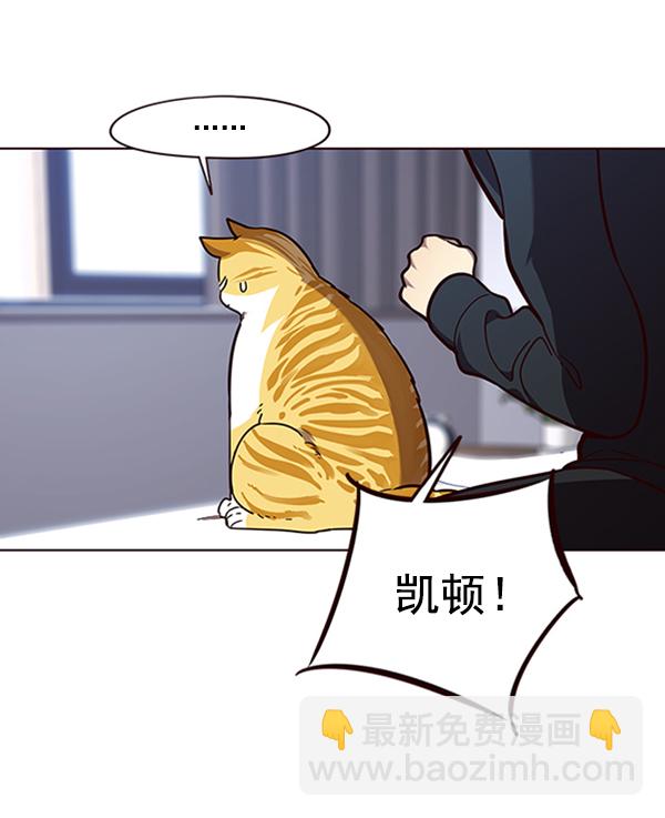 觉醒吧铲屎官在线观看免费下拉式漫画,第90话1图