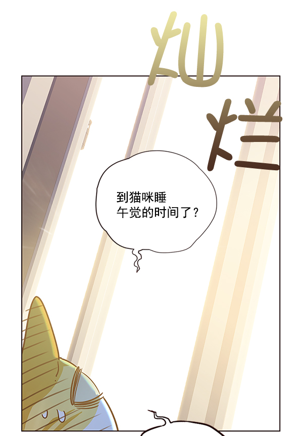 觉醒吧铲屎官漫画免费观看180话漫画,第11话1图