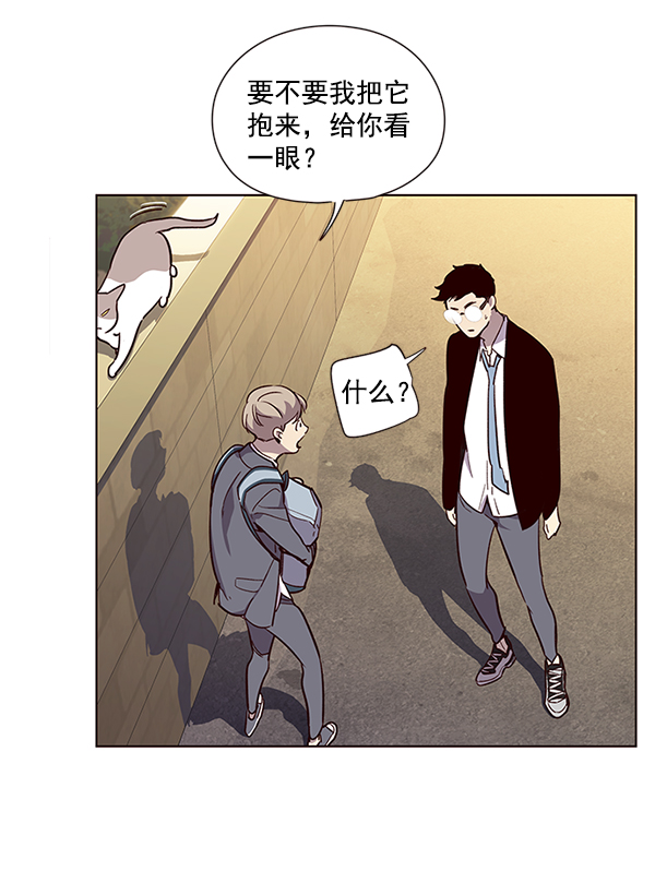 觉醒吧铲屎官漫画免费观看180话漫画,第11话2图