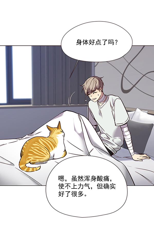 觉醒吧铲屎官漫画免费观看180话漫画,第88话2图