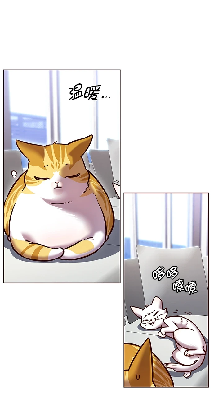 觉醒吧铲屎官漫画免费观看180话漫画,第229话1图