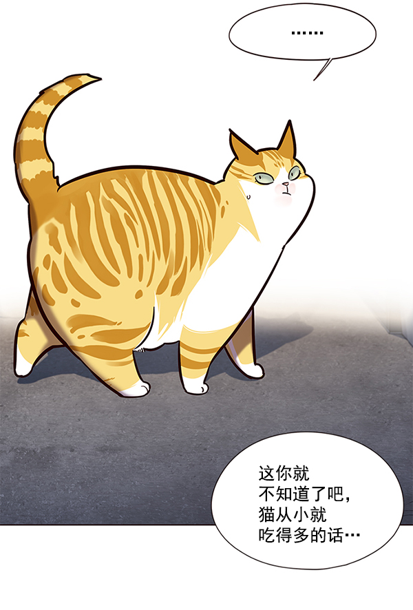 觉醒吧铲屎官漫画免费观看180话漫画,第105话1图