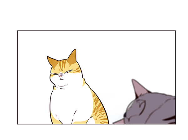 觉醒吧铲屎官335漫画,第9话1图