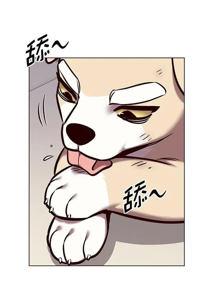 觉醒吧铲屎官335漫画,第294话1图
