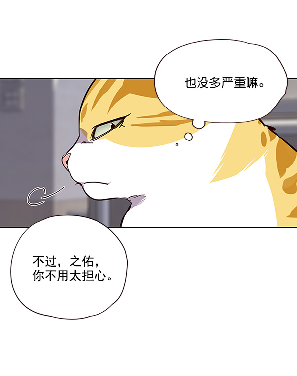 觉醒吧铲屎官漫画免费观看180话漫画,第28话2图