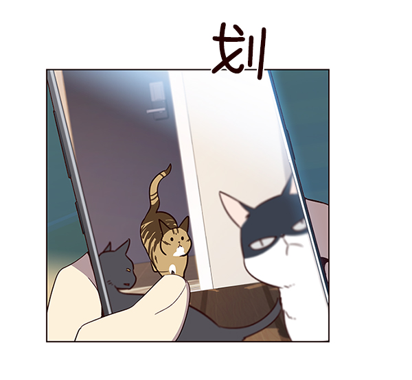 觉醒吧铲屎官漫画免费观看180话漫画,第11话2图