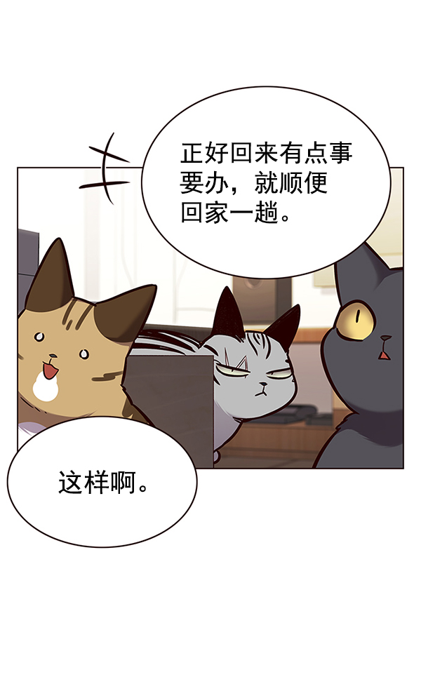 觉醒吧铲屎官免费下拉式漫画,第177话2图