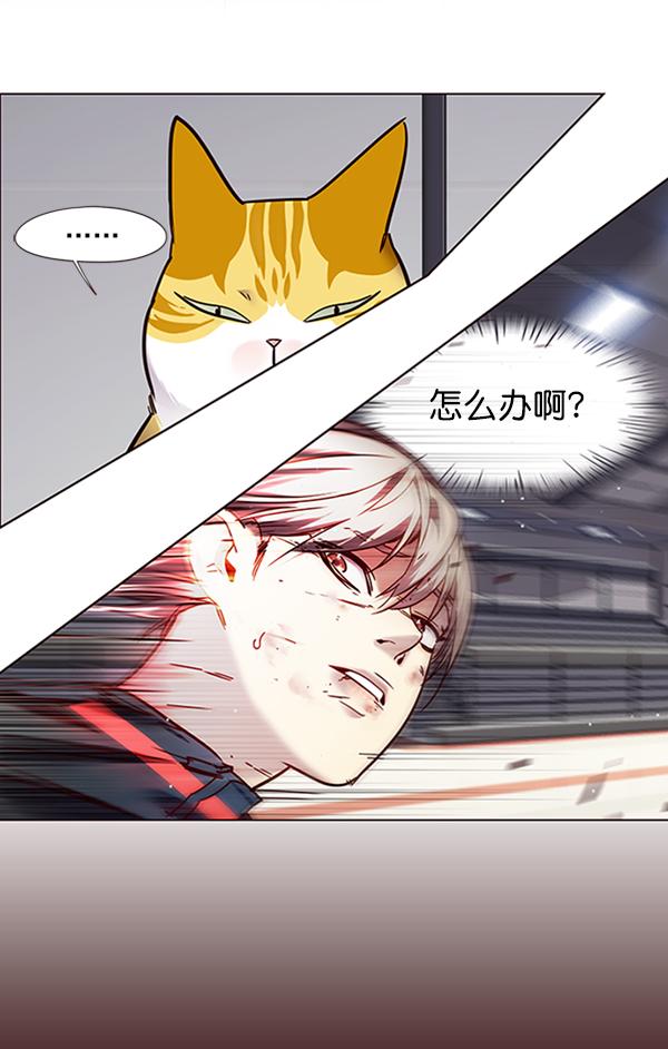 觉醒吧铲屎官335漫画,第87话1图