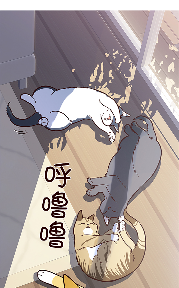 觉醒吧铲屎官漫画免费观看180话漫画,第11话2图