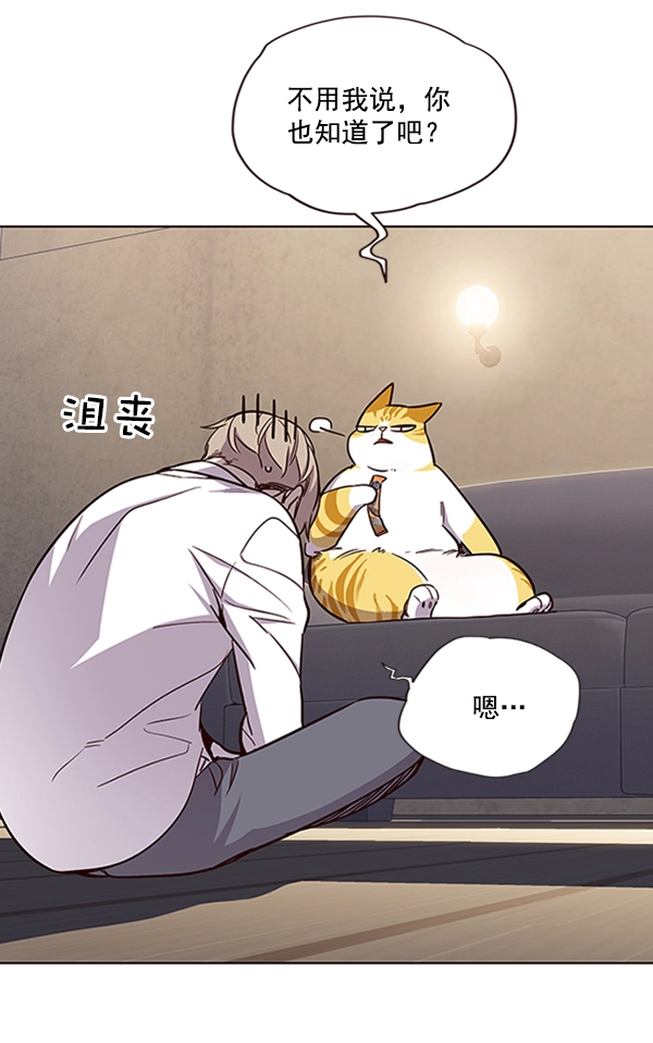 觉醒吧铲屎官335漫画,第19话2图
