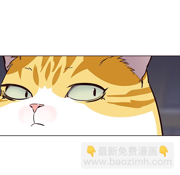觉醒吧铲屎官335漫画,第35话2图
