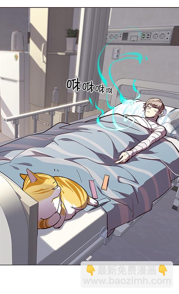 觉醒吧铲屎官漫画免费观看180话漫画,第28话2图