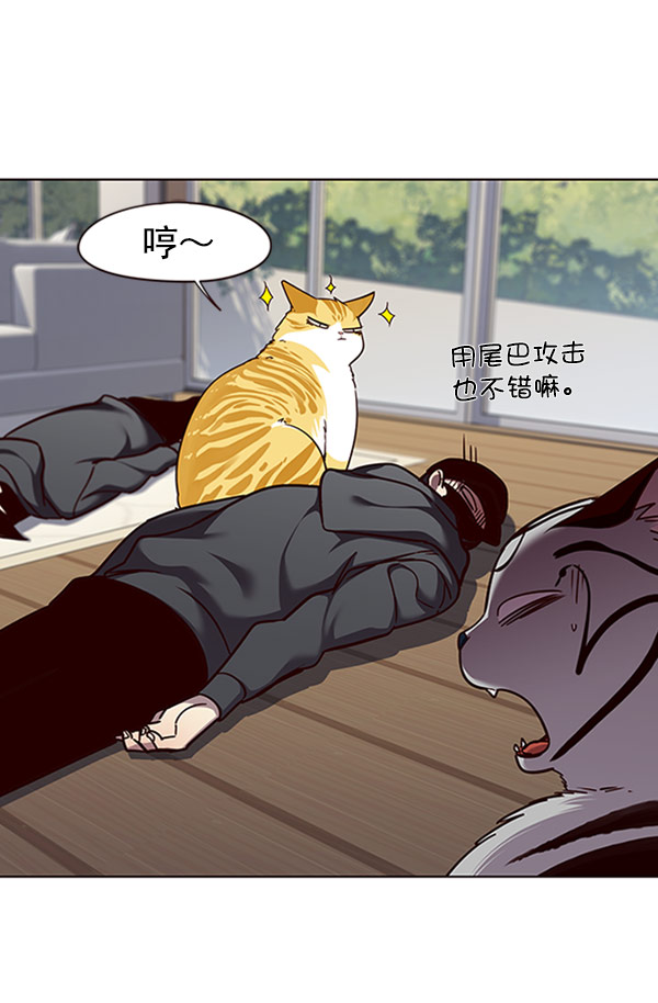 觉醒吧铲屎官漫画免费观看180话漫画,第58话1图