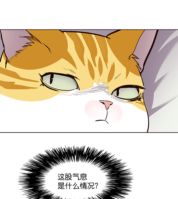 铲屎官!漫画在线观看漫画,第24话1图