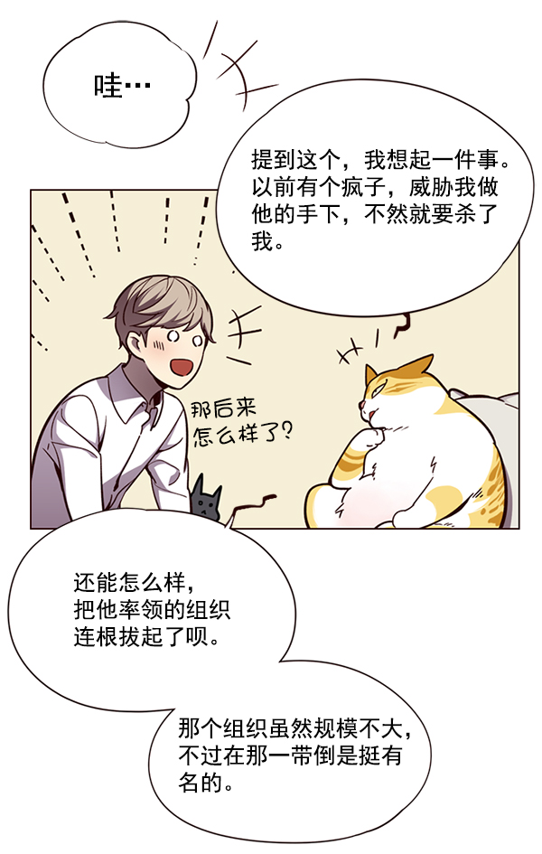 觉醒吧铲屎官漫画免费观看180话漫画,第51话1图