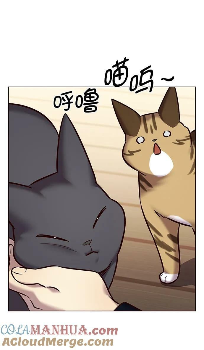 觉醒吧铲屎官漫画免费观看180话漫画,第244话2图
