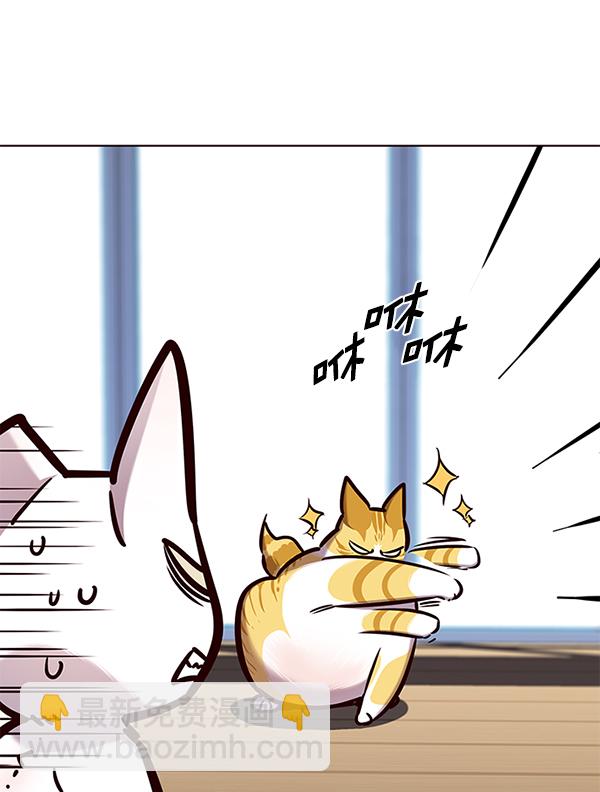 觉醒吧铲屎官335漫画,第144话2图