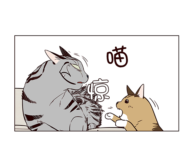 觉醒吧铲屎官335漫画,第7话1图