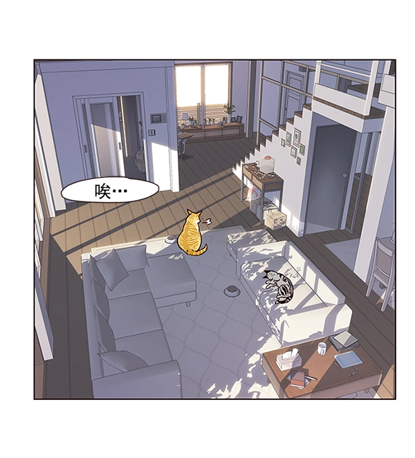 觉醒吧铲屎官335漫画,第9话1图