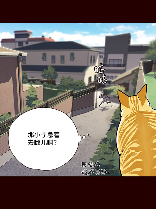 觉醒吧铲屎官335漫画,第52话2图