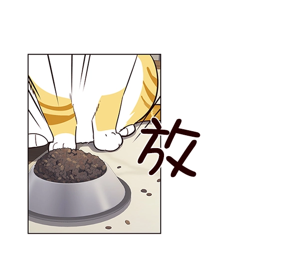 觉醒吧铲屎官335漫画,第9话1图