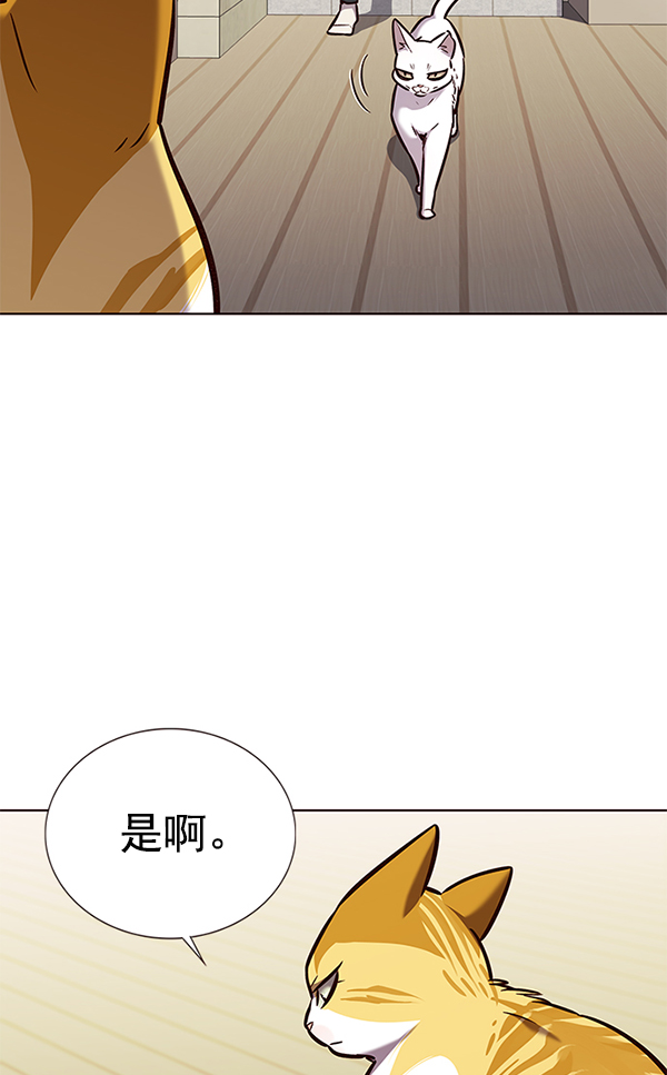 觉醒吧铲屎官免费全集在线观看漫画,第180话1图