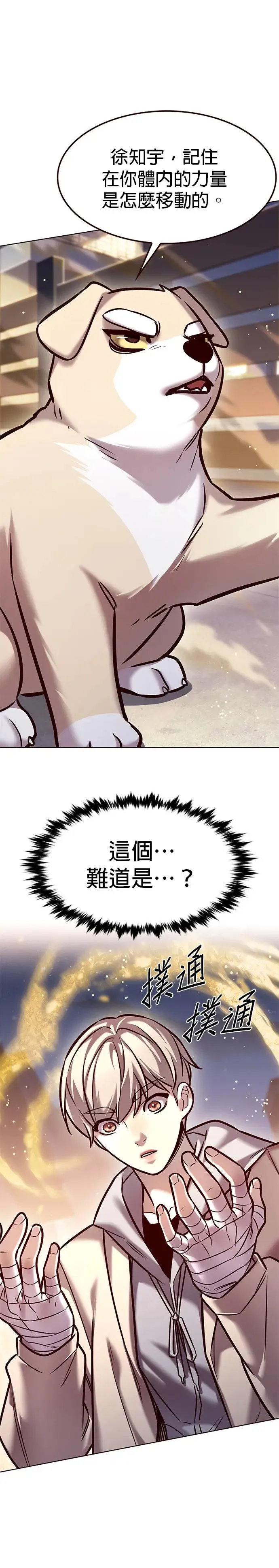 觉醒吧铲屎官335漫画,第284话1图