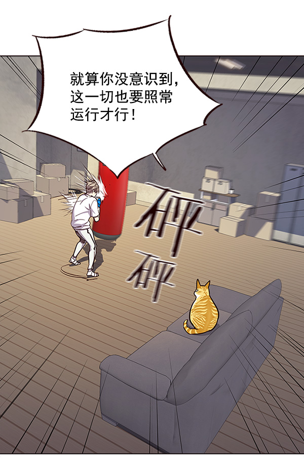 觉醒吧铲屎官335漫画,第23话1图