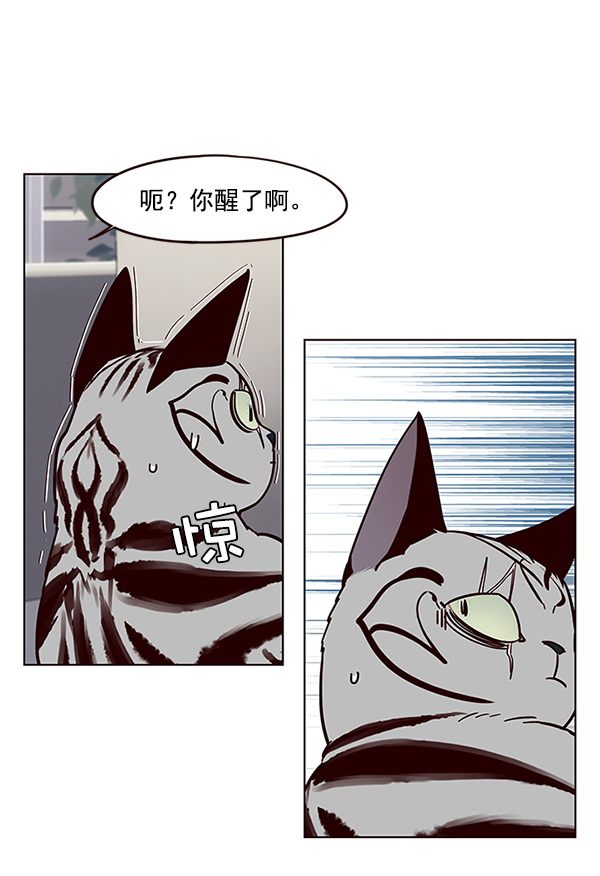 觉醒吧铲屎官漫画免费观看180话漫画,第37话1图