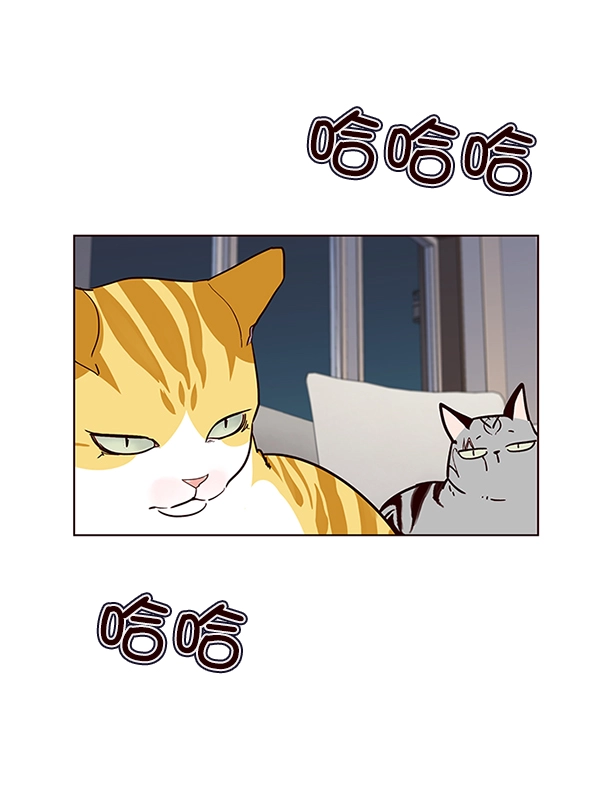 觉醒吧铲屎官漫画免费观看180话漫画,第40话1图