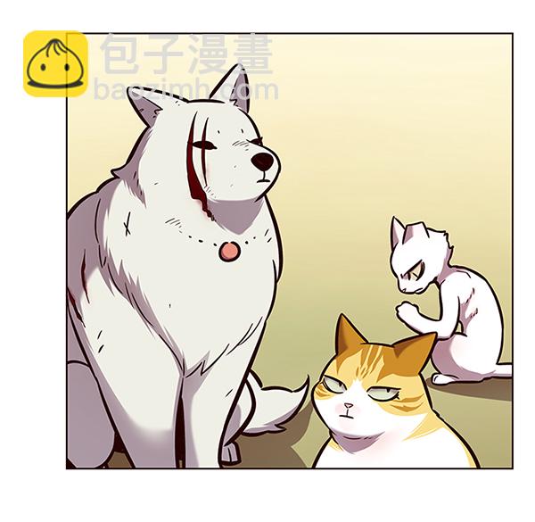 觉醒吧铲屎官335漫画,第162话2图
