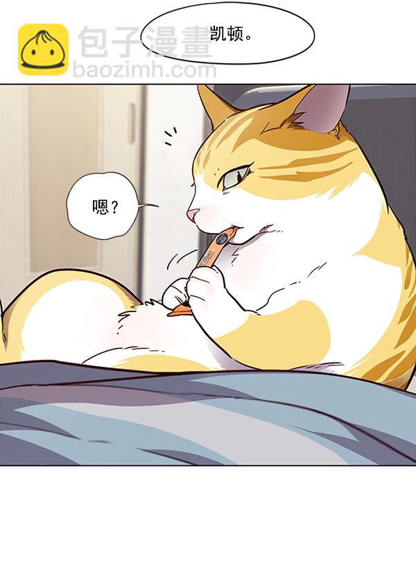 觉醒吧铲屎官漫画免费观看180话漫画,第28话1图