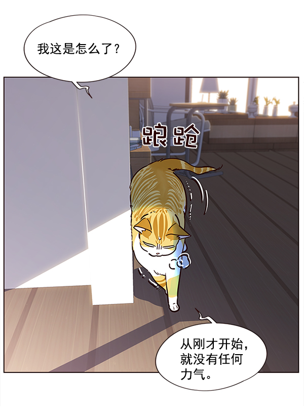 觉醒吧铲屎官漫画免费观看180话漫画,第11话1图
