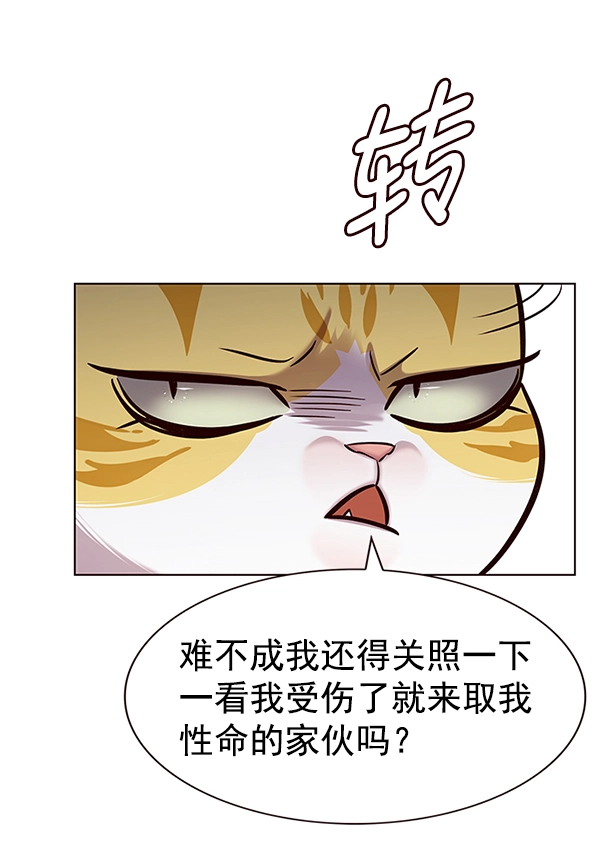 觉醒吧铲屎官335漫画,第186话1图