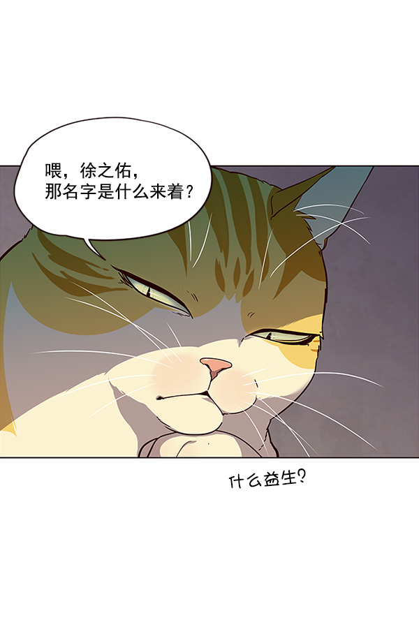 觉醒吧铲屎官335漫画,第29话1图