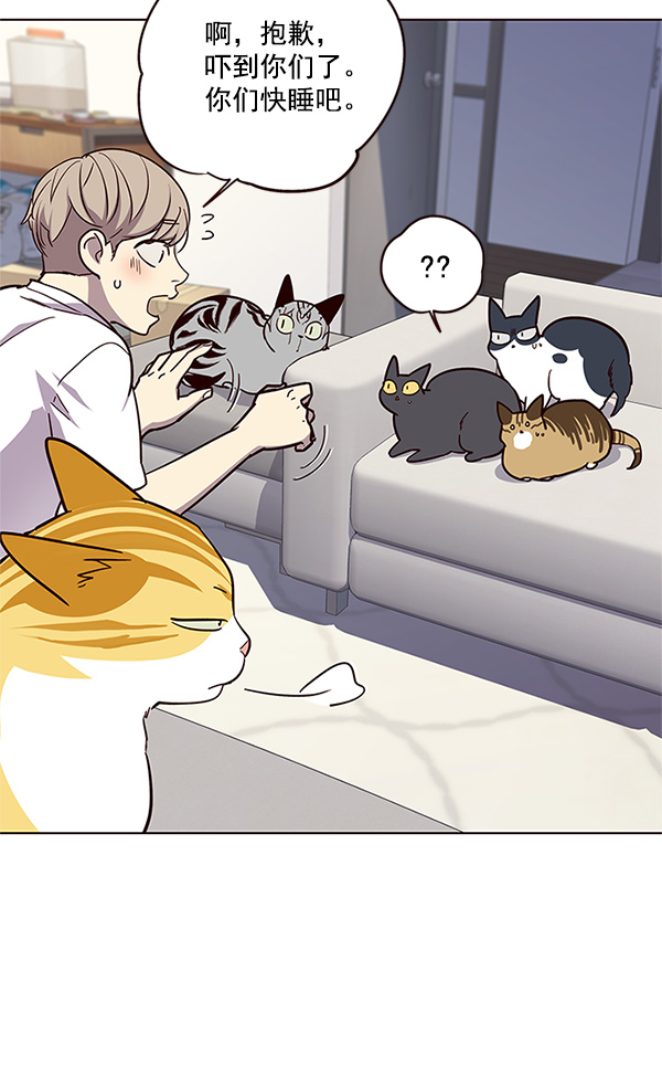 觉醒吧铲屎官335漫画,第23话2图