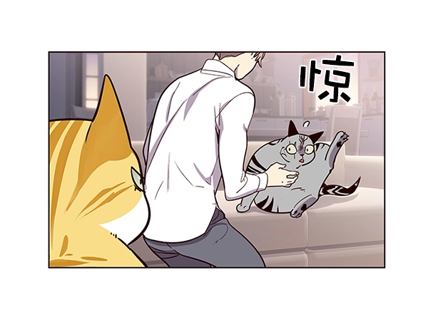 觉醒吧铲屎官漫画免费观看180话漫画,第10话1图