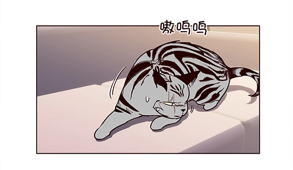 觉醒吧铲屎官漫画免费观看180话漫画,第10话1图