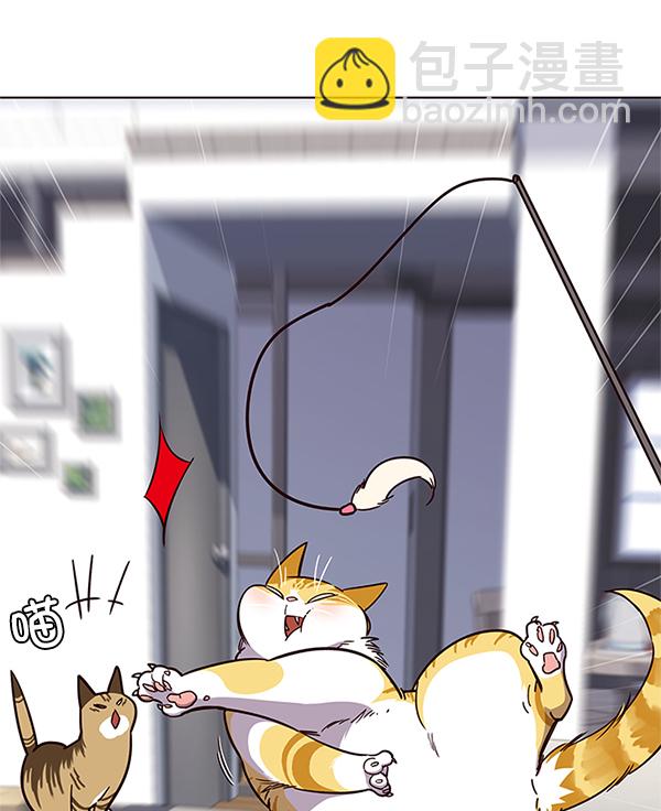 觉醒吧铲屎官335漫画,第16话1图