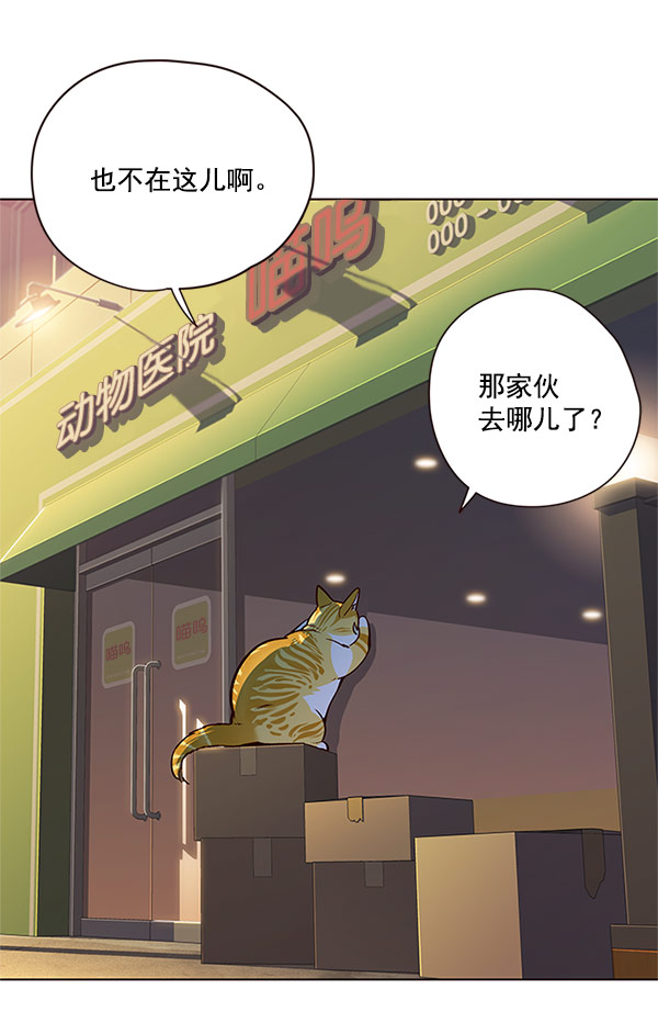 觉醒吧铲屎官漫画下拉式免费漫画,第13话1图