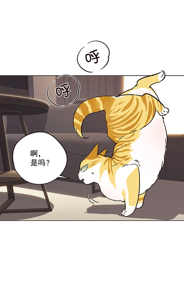 觉醒吧铲屎官漫画免费观看180话漫画,第94话2图