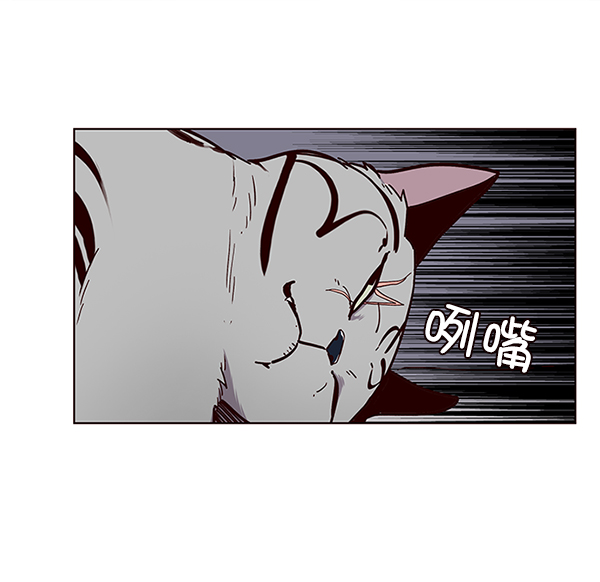 觉醒吧铲屎官漫画免费观看180话漫画,第37话2图