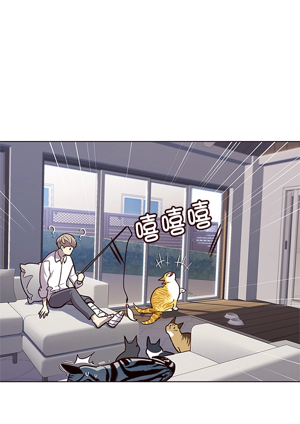 觉醒吧铲屎官335漫画,第16话2图