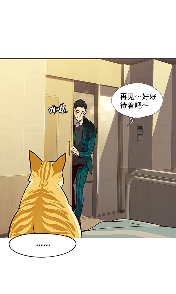 觉醒吧铲屎官335漫画,第29话1图