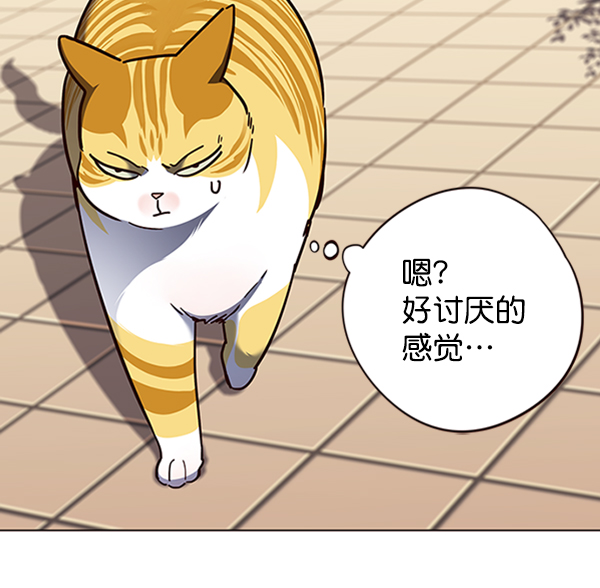 觉醒吧铲屎官漫画免费观看180话漫画,第81话1图